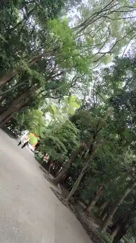賀茂御祖神社（下鴨神社）(京都府)