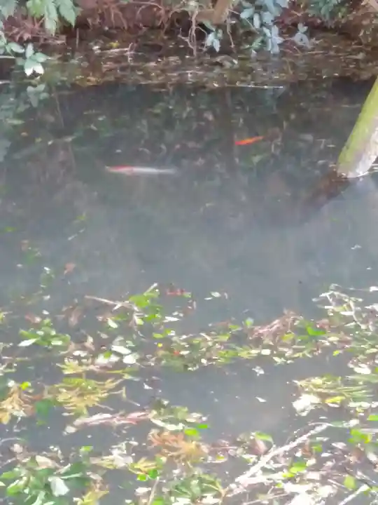 大生神社(茨城県)