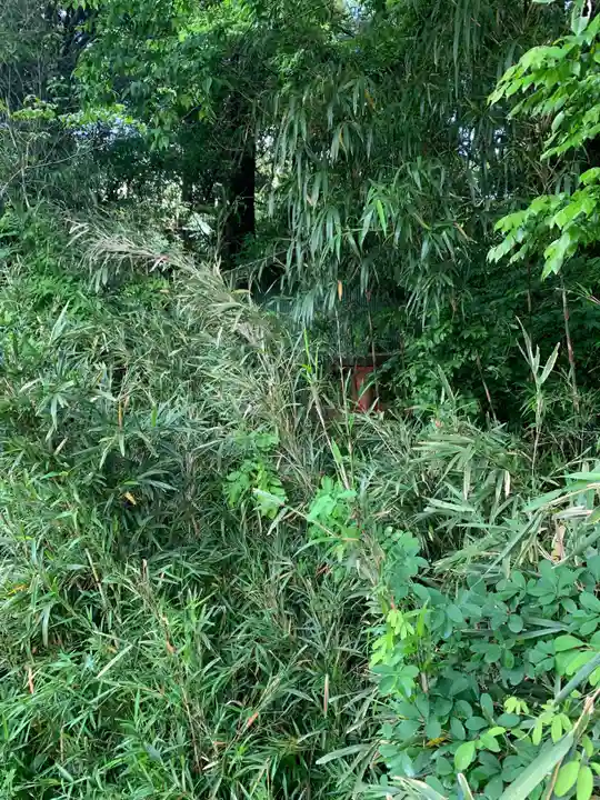 天光龍王亀菊弁財天(千葉県)