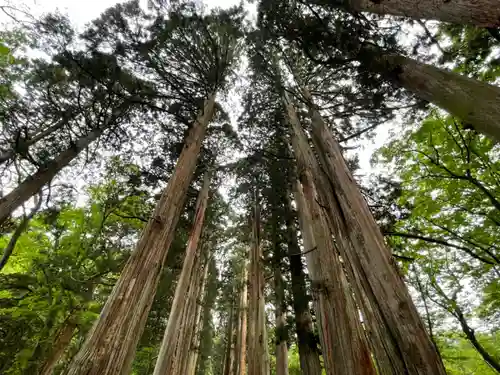 戸隠神社奥社(長野県)