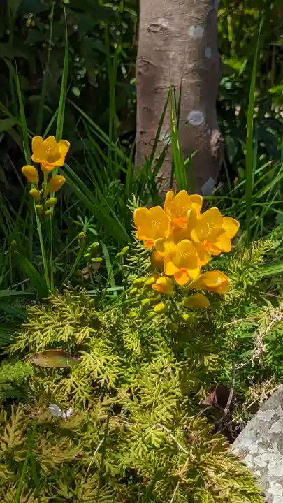 惠心院(京都府)