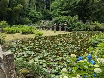 月照寺(島根県)