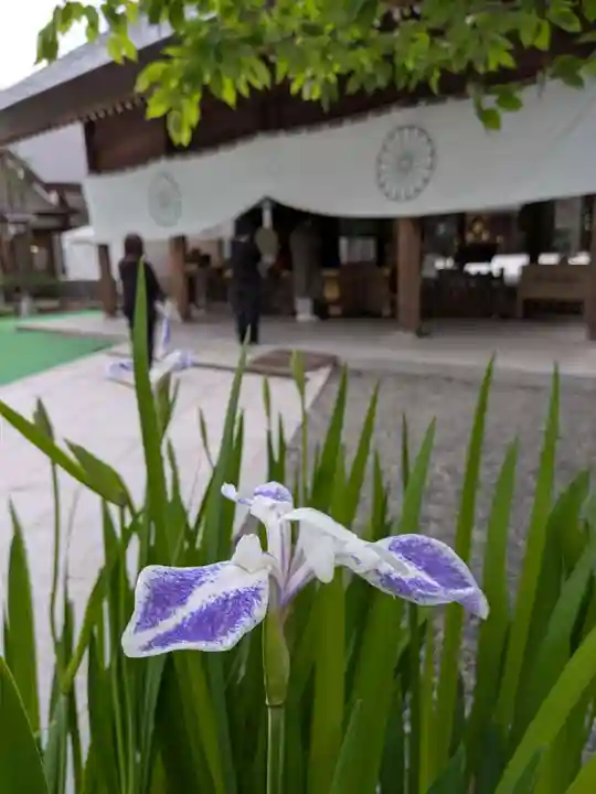 阿佐ヶ谷神明宮(東京都)