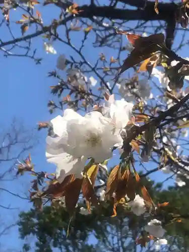 普光明寺(埼玉県)