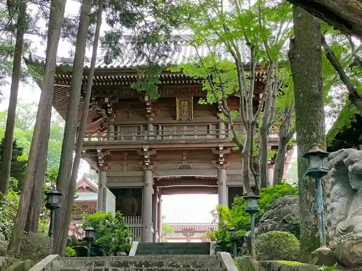 寳光寺 鹿野大佛の山門・神門