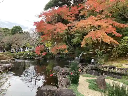 長谷寺の庭園