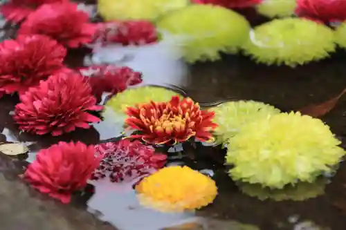 大鏑神社の手水舎