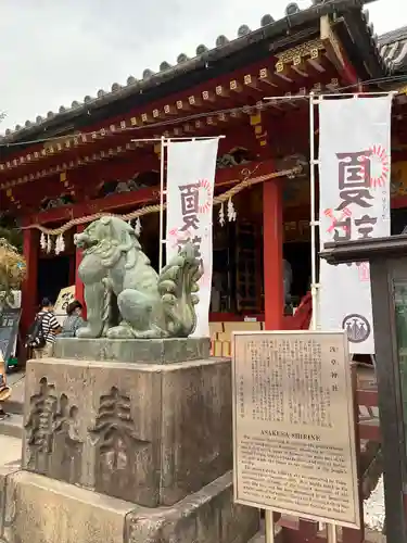 浅草神社の狛犬