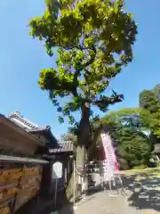 大洲神社(愛媛県)