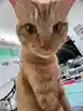 岩ちゃん