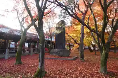 東福禅寺(東福寺)(京都府)