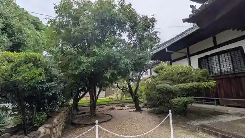 大念佛寺(大阪府)