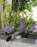 高司神社〜むすびの神の鎮まる社〜(福島県)