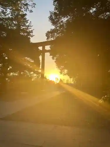 川越氷川神社の{uncategorized: "未分類", other: "その他", undefined: "問題あり", building: "その他建物", grave: "お墓", sacred_gate: "鳥居", guardian: "狛犬", statue: "像", buddha: "仏像", history: "歴史", nature: "自然", garden: "庭園", animal: "動物", pagoda: "塔", temizu: "手水舎", mountain_gate: "山門・神門", sanctuary: "本殿・本堂", subordinate: "末社・摂社", art: "芸術", scenery: "景色", jizo: "地蔵", ema: "絵馬", goshuin: "御朱印", omikuji: "おみくじ", items: "授与品その他", amulet: "お守り", goshuincho: "御朱印帳", eats: "食事", festival: "お祭り", votive_dance: "神楽", shichigosan: "七五三参", wedding: "結婚式", experience: "体験その他", initially: "初詣", around: "周辺", anti_infection: "感染症対策"}