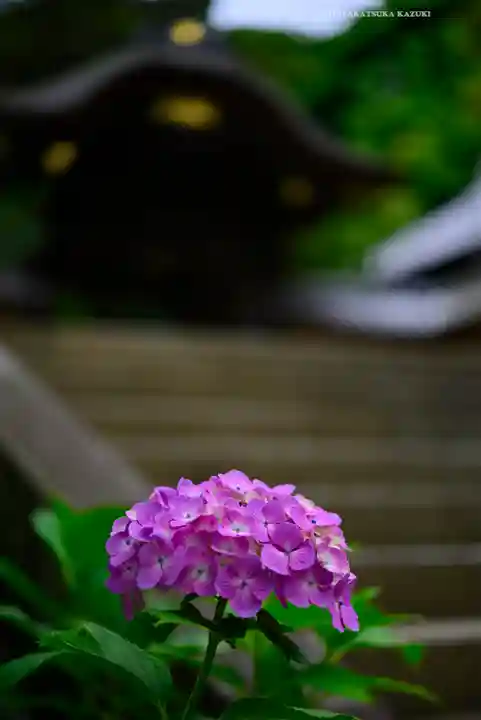 円覚寺(神奈川県)