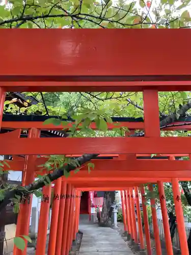 粟津天満神社の鳥居