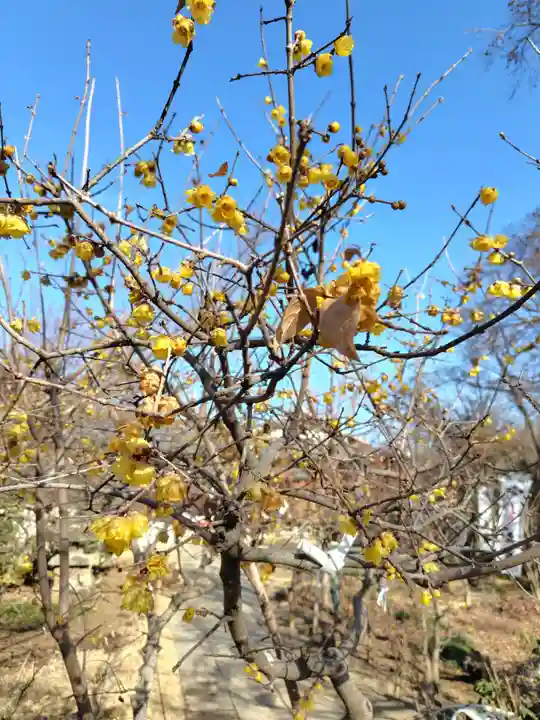 多聞院(埼玉県)