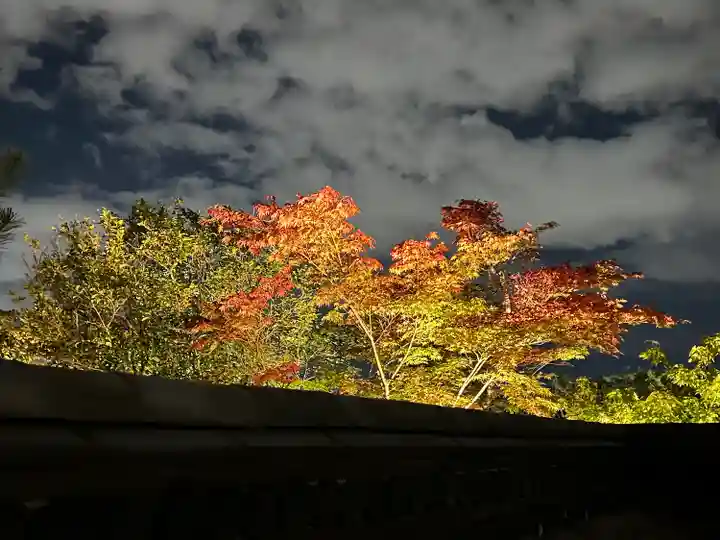 高台寺(高台寿聖禅寺・高臺寺)(京都府)