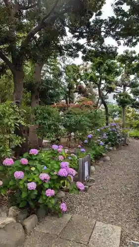 菊田神社の自然