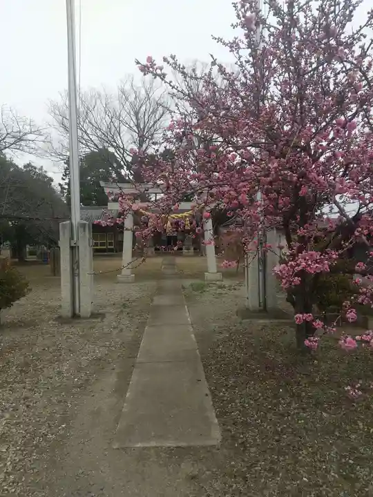 諏訪神社(埼玉県)