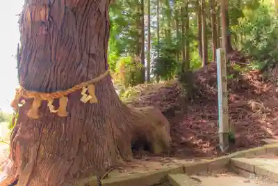 大崎八幡神社(宮城県)