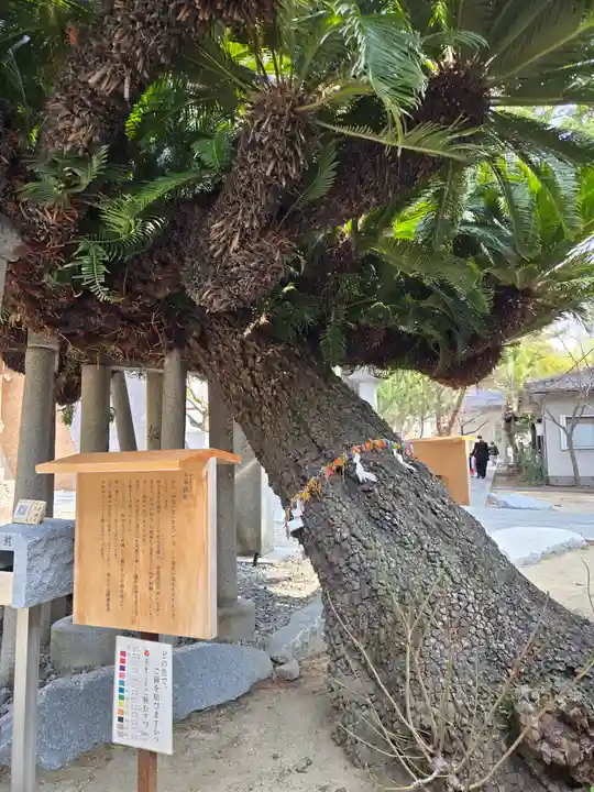 鳥飼八幡宮(福岡県)