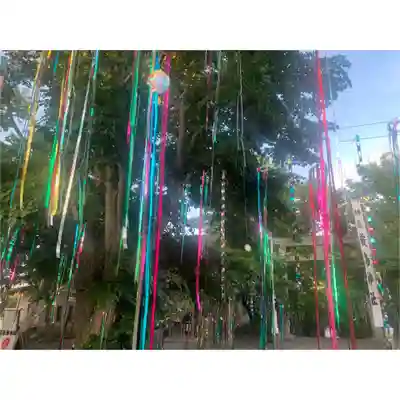 釧路一之宮 厳島神社のお祭り