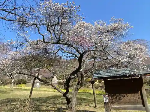 志波彦神社・鹽竈神社(宮城県)