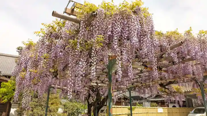 慈眼寺(京都府)