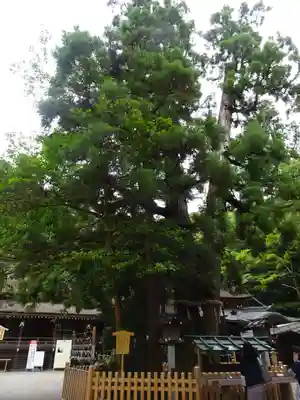 大神神社(奈良県)