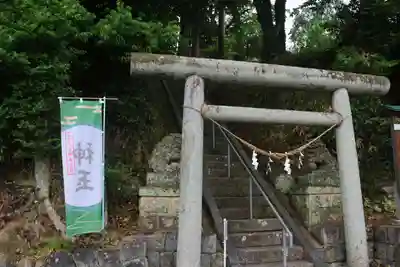 阿久津「田村神社」(郡山市阿久津町)旧社名:伊豆箱根三嶋三社の鳥居
