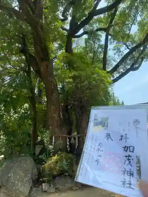 加茂神社(大阪府)