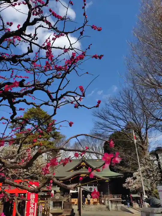 布多天神社(東京都)