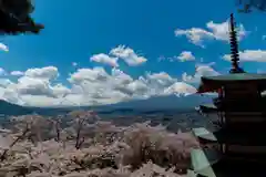 新倉富士浅間神社の景色