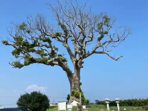 大木神社跡地(三重県)