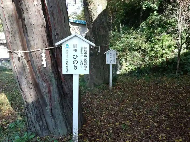 蛭子神社(大原町千代ヶ丸)の自然