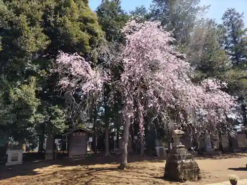 伏木香取神社の自然