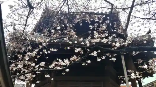 東長寺の自然