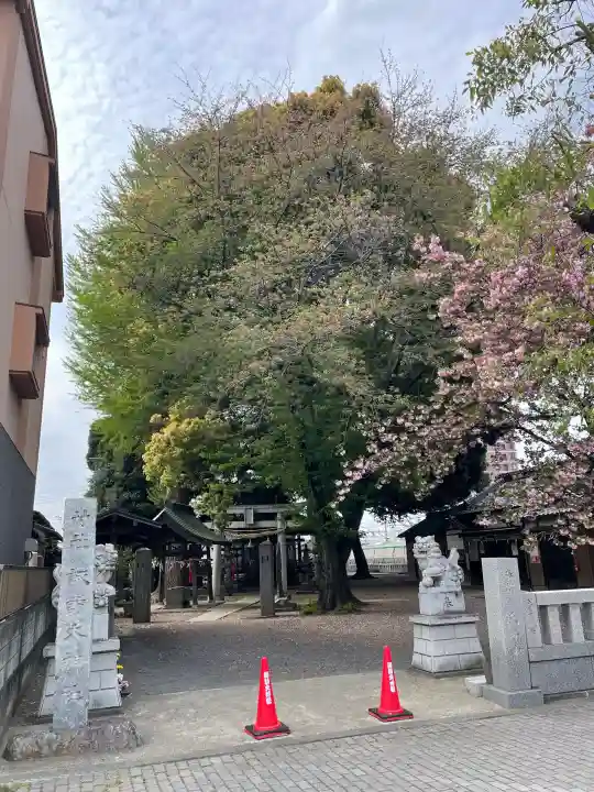 諏訪大神社 の{uncategorized: "未分類", other: "その他", undefined: "問題あり", building: "その他建物", grave: "お墓", sacred_gate: "鳥居", guardian: "狛犬", statue: "像", buddha: "仏像", history: "歴史", nature: "自然", garden: "庭園", animal: "動物", pagoda: "塔", temizu: "手水舎", mountain_gate: "山門・神門", sanctuary: "本殿・本堂", subordinate: "末社・摂社", art: "芸術", scenery: "景色", jizo: "地蔵", ema: "絵馬", goshuin: "御朱印", omikuji: "おみくじ", items: "授与品その他", amulet: "お守り", goshuincho: "御朱印帳", eats: "食事", festival: "お祭り", votive_dance: "神楽", shichigosan: "七五三参", wedding: "結婚式", experience: "体験その他", initially: "初詣", around: "周辺", anti_infection: "感染症対策"}