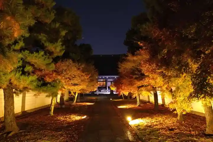 妙顯寺(妙顕寺)(京都府)