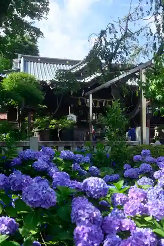 白山神社の庭園