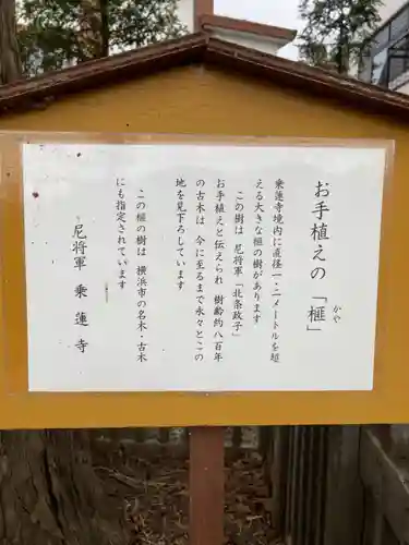 乗蓮寺(神奈川県)