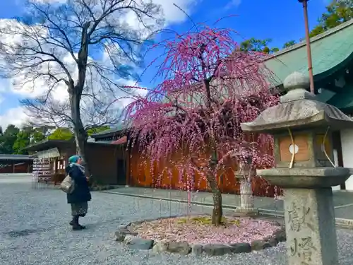 城南宮の本殿・本堂