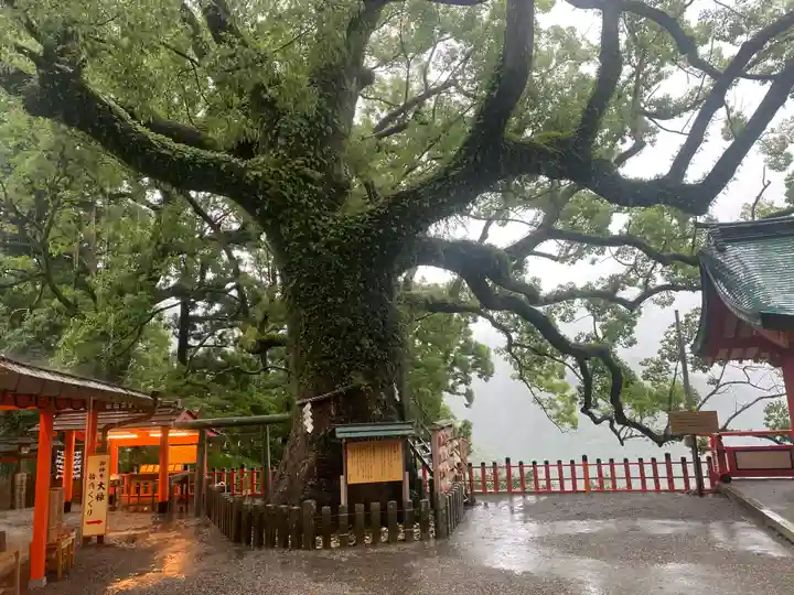 熊野那智大社(和歌山県)