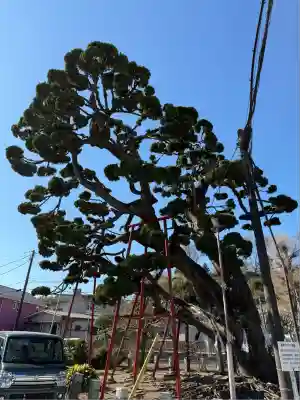 妙法寺(神奈川県)