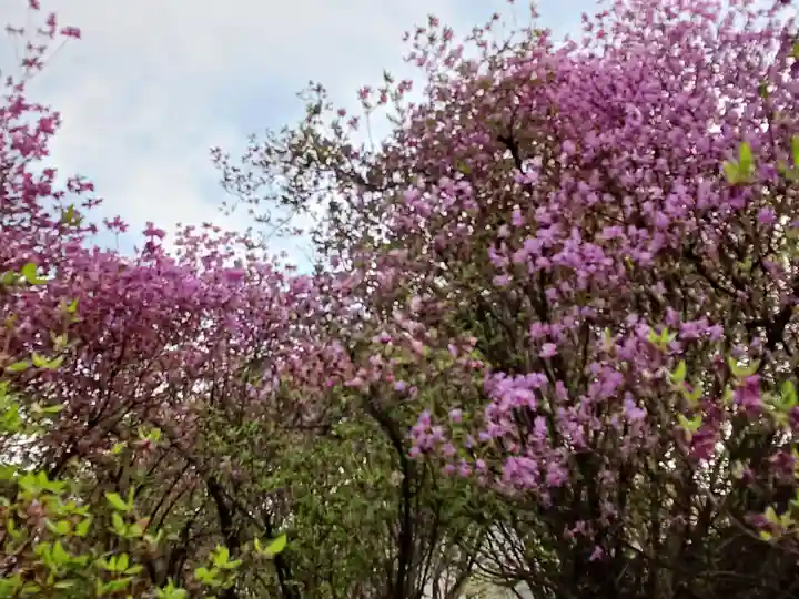 廣田神社(兵庫県)