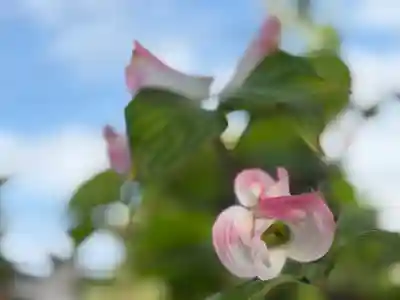西方山極楽寺(岐阜県)