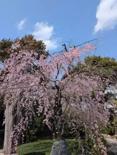 寳幢院(東京都)