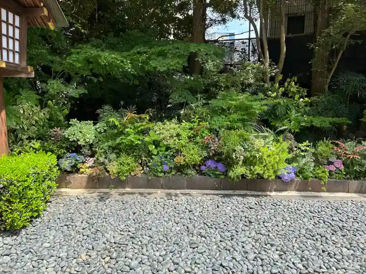 東京大神宮(東京都)