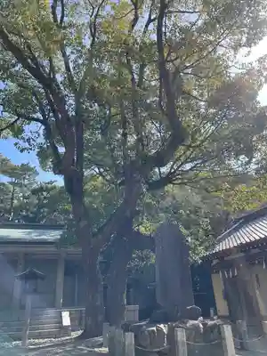 和歌山縣護國神社(和歌山県)